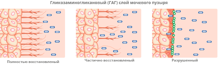 Уро-гиал, купить урогиал в интернет-магазине NMTC Уро-гиал, купить урогиал в интернет-магазине NMTC