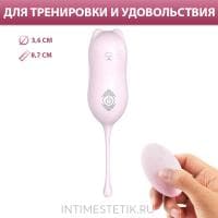 MiaoU S-Hande - вагинальные шарики с вибрацией и пультом ДУ MiaoU S-Hande - вагинальные шарики с вибрацией и пультом ДУ