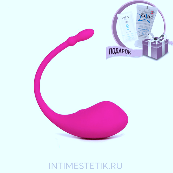 Lovense Vibrator