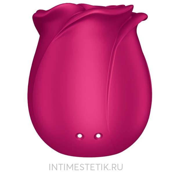 Стимулятор клитора Satisfyer Pro 2 Classic Blossom Стимулятор клитора Satisfyer Pro 2 Classic Blossom