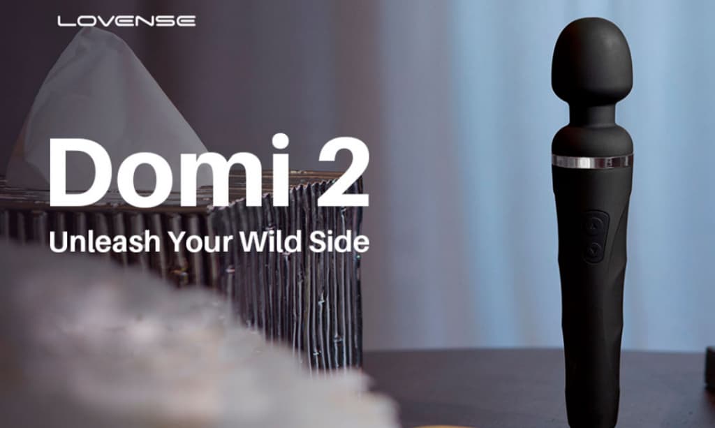 obzor-lovense-domi-2.jpg obzor-lovense-domi-2.jpg
