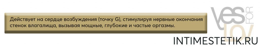 yesfo_2_banner.jpg yesfo_2_banner.jpg