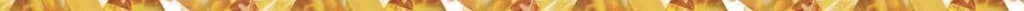 256151511,.jpg 256151511,.jpg
