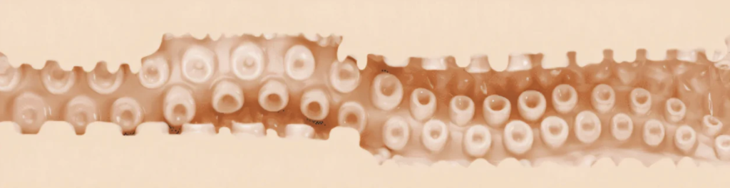 Снимок экрана 2026-01-23 в 16.32.16.png