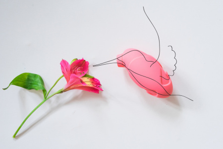 Вакуумный стимулятор LOLA FANTASY COLIBRI