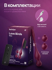 Satisfyer Love Birds Vary - вагинальные виброшарики со сменными насадками, пультом и приложением
