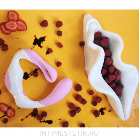 Вибратор O Venus Adrien Lastic