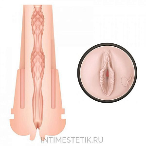 Набор с мастурбатором Pornstar (Jayden Cole) для тренировки выносливости