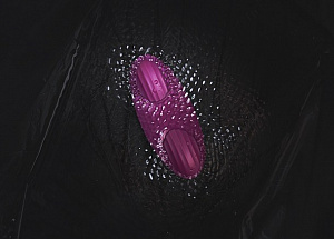 Вибратор Edeny SVAKOM с мобильным приложением