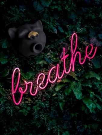 Gvibe Gcat - вакуумный стимулятор клитора