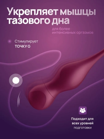 Satisfyer Love Birds Vary - вагинальные виброшарики со сменными насадками, пультом и приложением