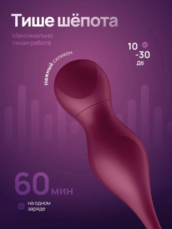 Satisfyer Love Birds Vary - вагинальные виброшарики со сменными насадками, пультом и приложением