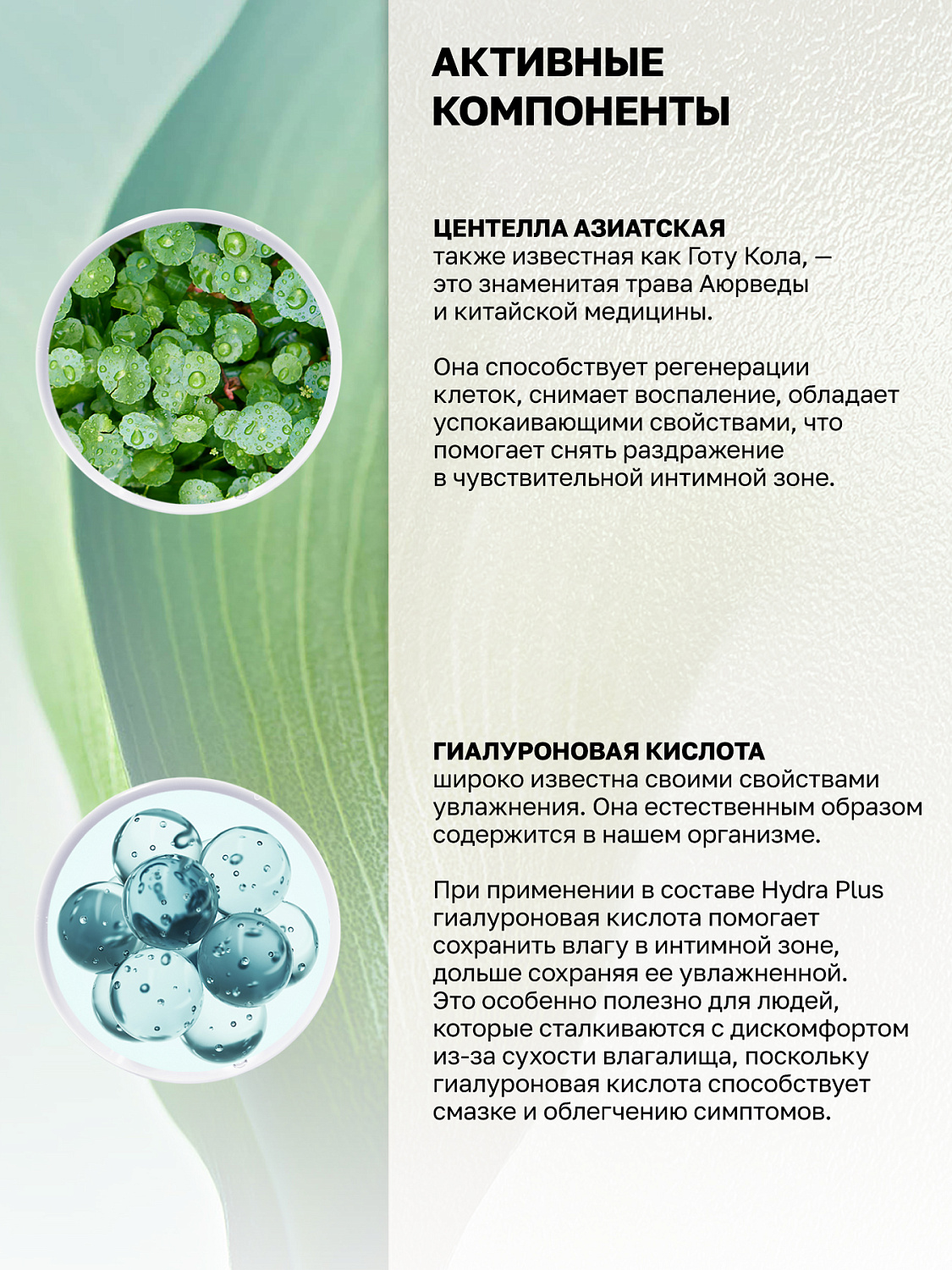 Intt Hydra Plus - регенерирующая смазка с гиалуроновой кислотой и центеллой, 100 мл Intt Hydra Plus - регенерирующая смазка с гиалуроновой кислотой и центеллой, 100 мл