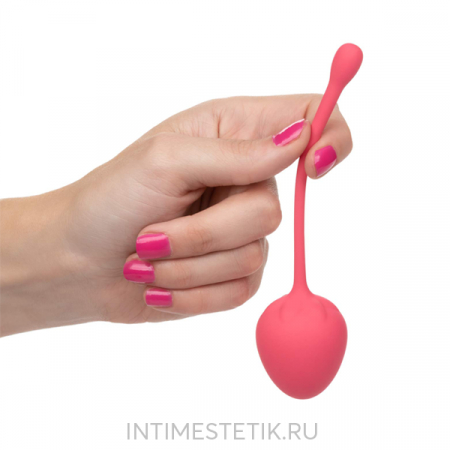 Вагинальные конусы Calexotics Kegel Training Set Strawberry