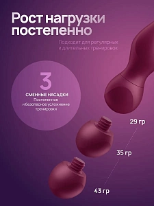 Satisfyer Love Birds Vary - вагинальные виброшарики со сменными насадками, пультом и приложением