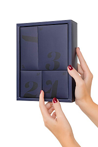 Satisfyer Advent Box - адвент календарь 18+ для взрослых