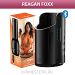 Набор KIIROO Feel Stars (мастурбатор на выбор) + Keon (интерактивная станция) - Reagan Foxx