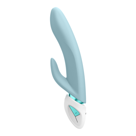 Satisfyer Fabulous Four - стимулятор 4в1 (4 насадки в комплекте)