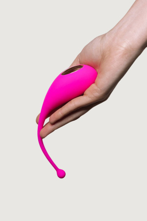 Виброяйцо Palpitation с мобильным управлением