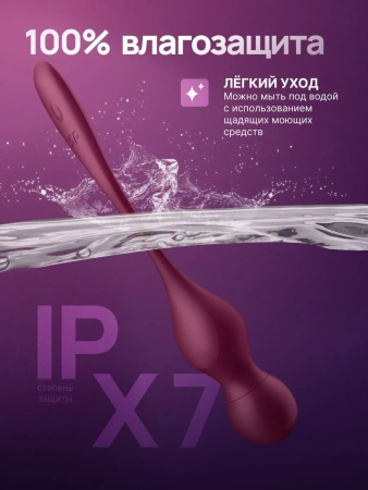 Satisfyer Love Birds Vary - вагинальные виброшарики со сменными насадками, пультом и приложением