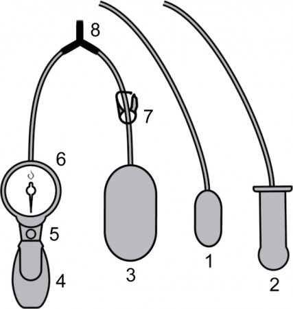 Vagiton Pneumo + Тренажер Кегеля