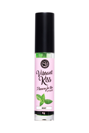 Блеск для губ с виброэффектом SECRET PLAY VIBRANT KISS MINT (Мята) Блеск для губ с виброэффектом SECRET PLAY VIBRANT KISS MINT (Мята)