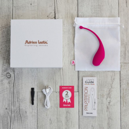 Виброяйцо Palpitation с мобильным управлением