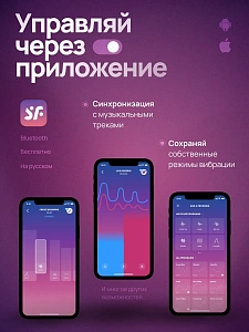 Satisfyer Love Birds Vary - вагинальные виброшарики со сменными насадками, пультом и приложением