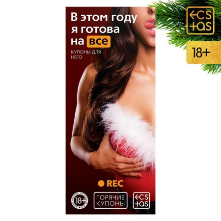 В подарок Новогодняя игра 18+ (в ассортименте) В подарок Новогодняя игра 18+ (в ассортименте)